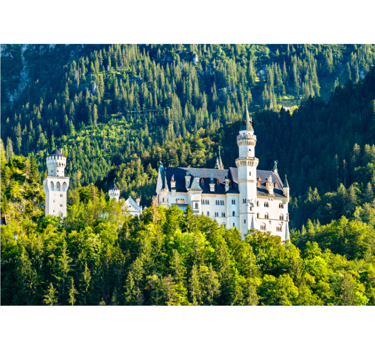 Neuschwanstein castle view fototapete mest in držav - TenStickers