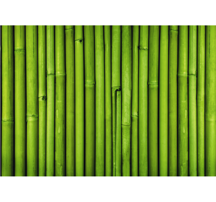 Green bamboo stalks fototapeta s bambusom - TenStickers