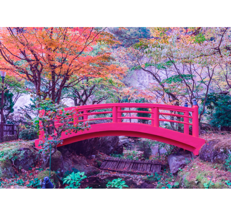 Domišljijski gozd z barvnimi stenskimi fototapete - TenStickers