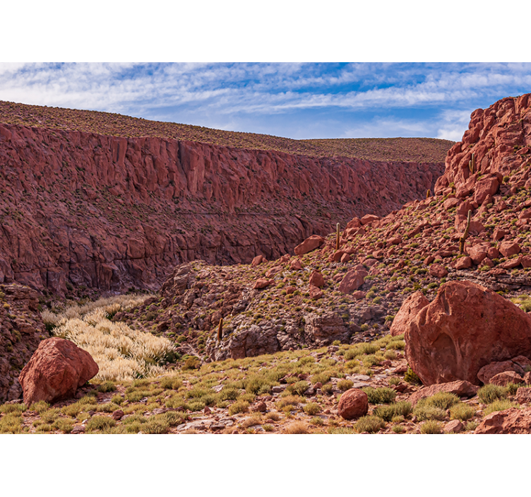 Rdeča puščavska pokrajina Fototapeta z gorami - TenStickers