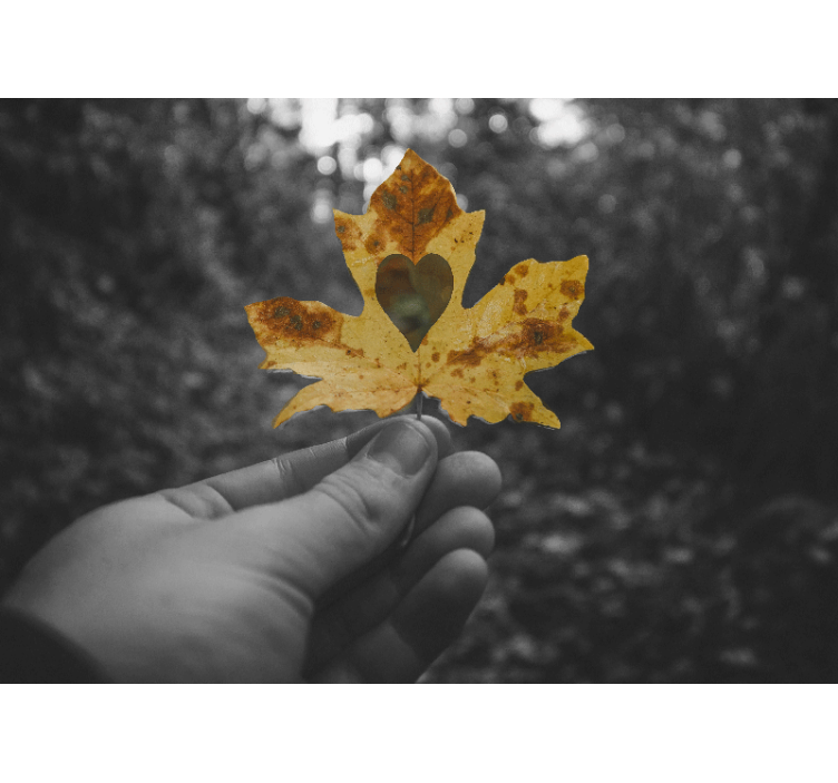 List v obliki srca Fototapete Narava - TenStickers