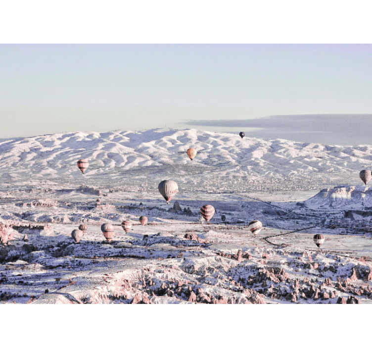 Pokrajina z baloni na vroč zrak Stenske poslikave - TenStickers
