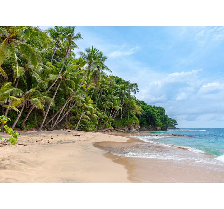 Tropical shore oasis fototapete narava - TenStickers