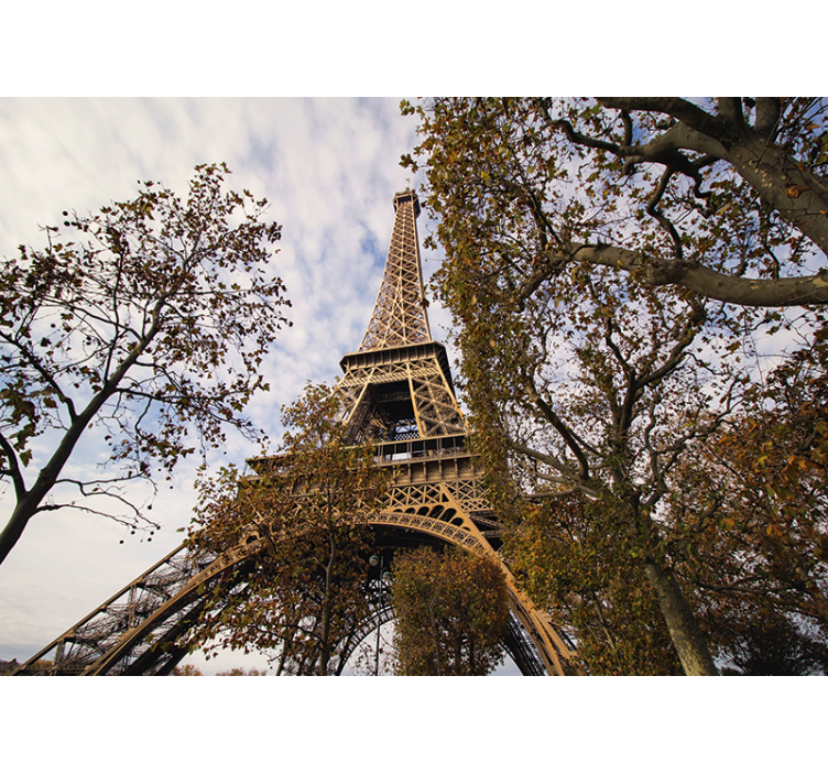 Eiffel tower scenic perspective fototapete pariz - TenStickers