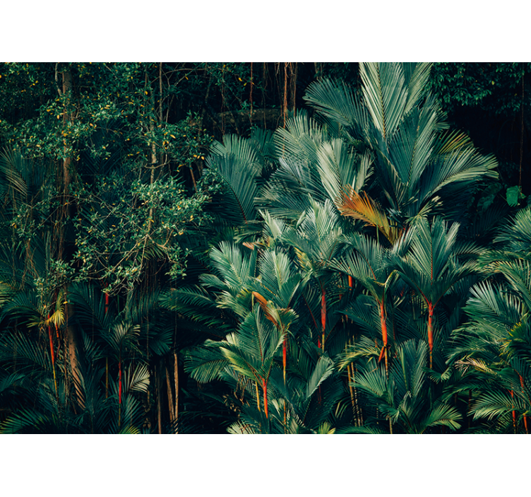 Exotic palm foliage fototapete narava - TenStickers