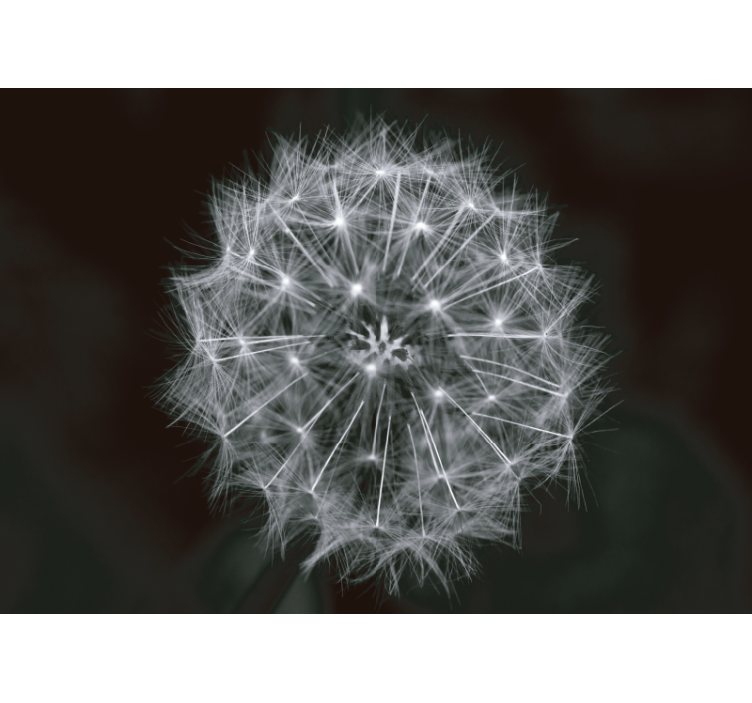 Stenska stena iz regratovega sivke regrata - TenStickers