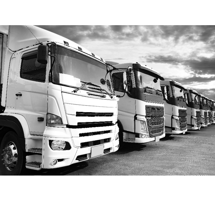 Trucks lineup fototapeta z vozili - TenStickers