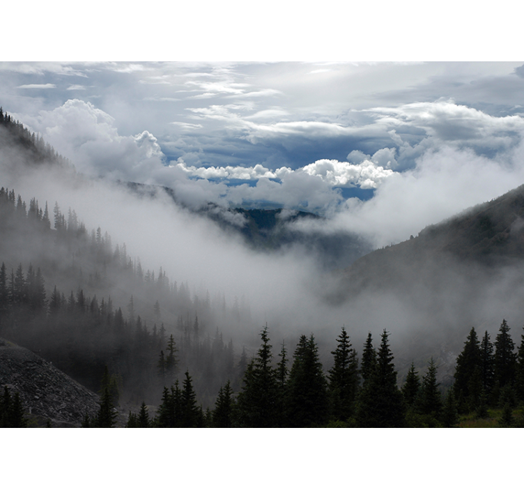 Meglena gozdna pokrajina Stenske poslikave - TenStickers