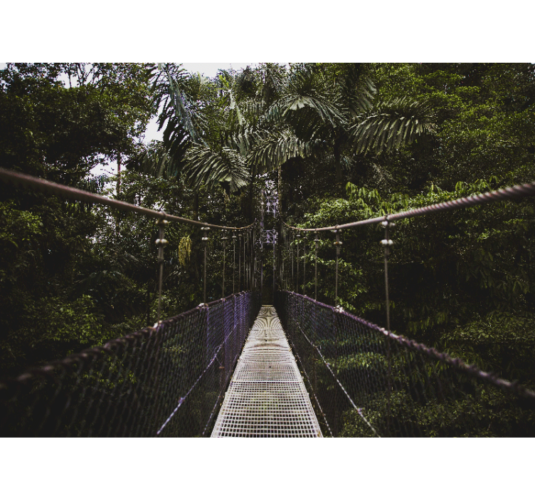 Most v stenski poslikavi v džungli - TenStickers