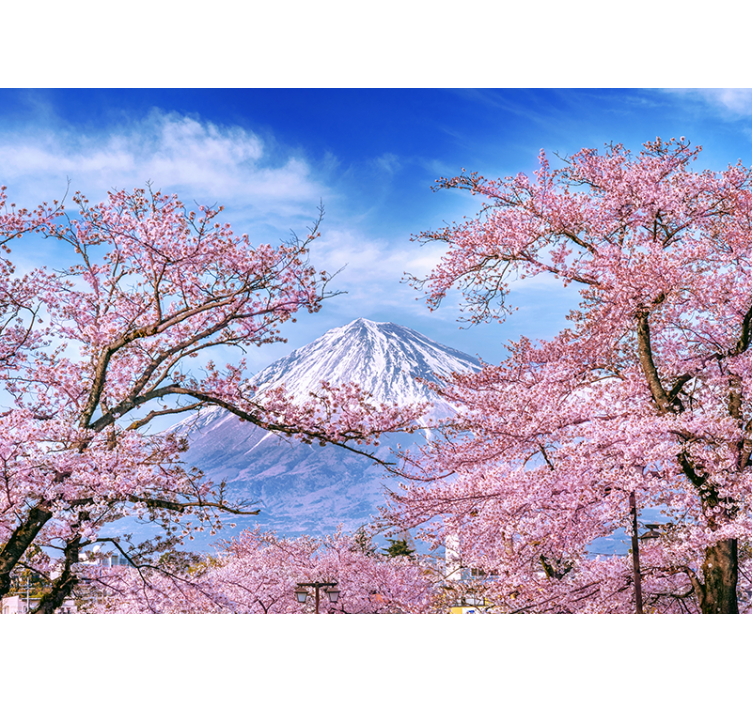 Cherry blossom landscape fototapete narava - TenStickers