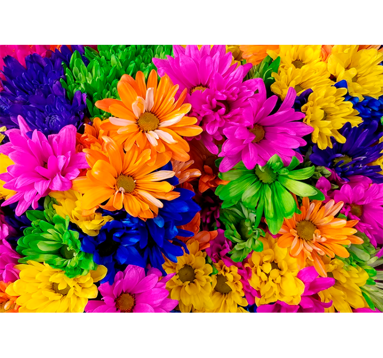 Colorful botanical arrangement fototapete cvetje - TenStickers