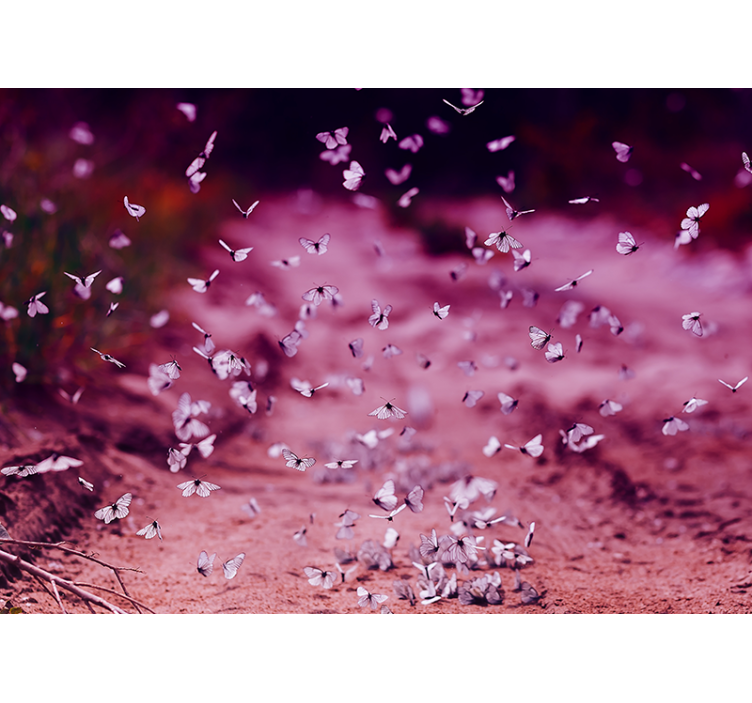 Nežen ples metuljev Fototapete cvetje - TenStickers