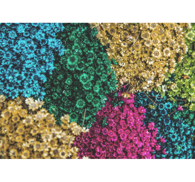 Colorful floral patterns fototapete cvetje - TenStickers