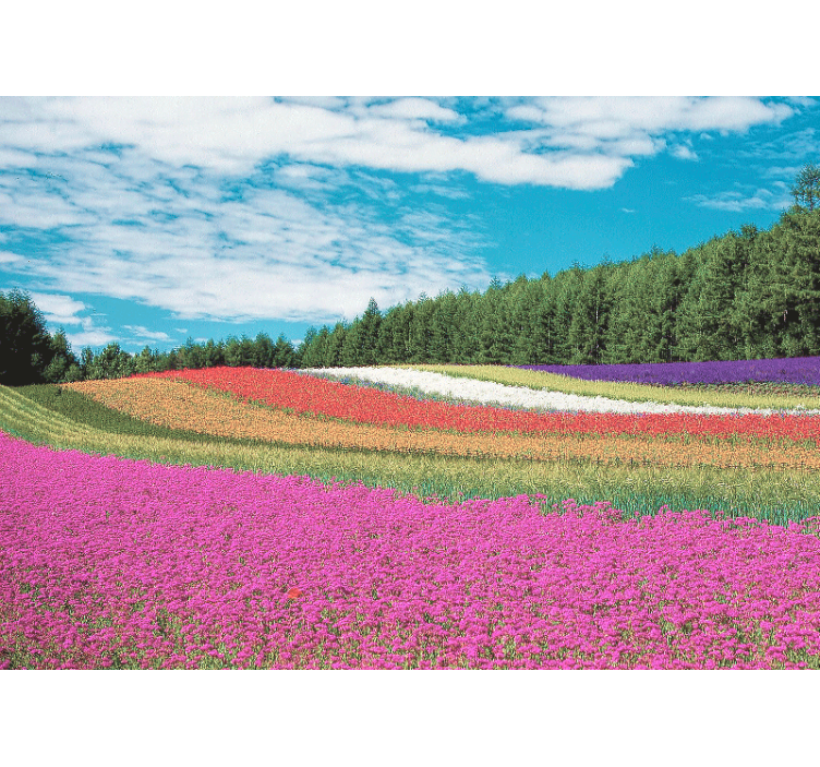 Vibrant floral landscape fototapete cvetje - TenStickers