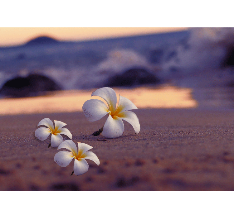 Beli cvetovi na peščeni stenski steni - TenStickers