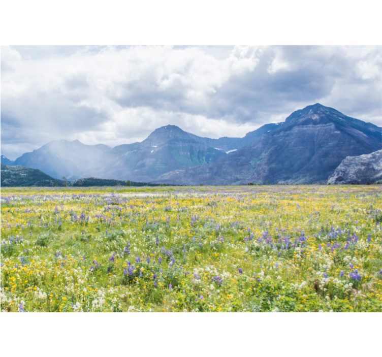 Mountain flower field stenske poslikave - TenStickers