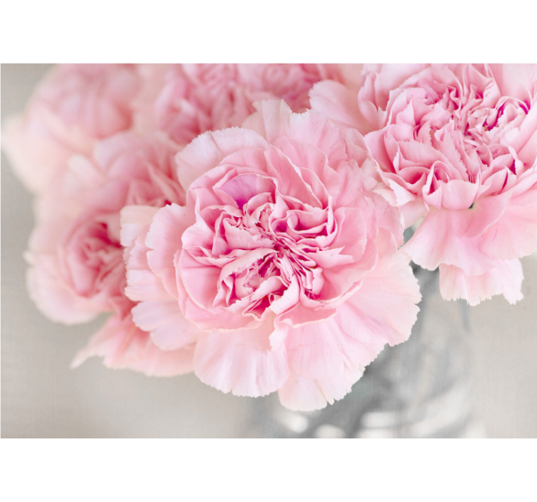 Lovely pink blossoms fototapete cvetje - TenStickers