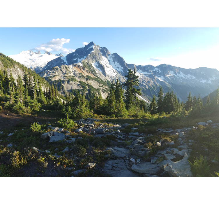 Mountainous forest view stenske poslikave - TenStickers