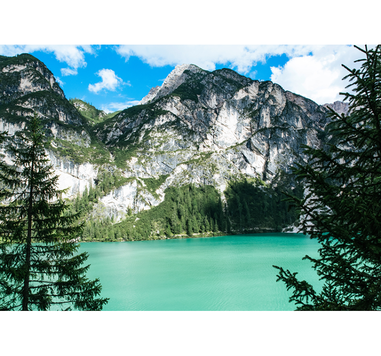 Grand mountain panorama stenske poslikave - TenStickers