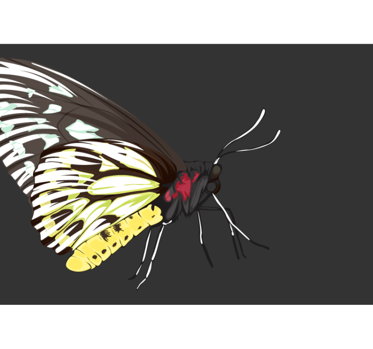 Dizajn rumenega metulja fototapeti - TenStickers