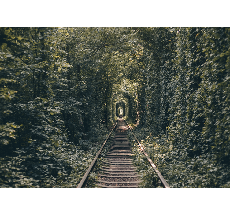 Railway tunnel nature stenske poslikave - TenStickers
