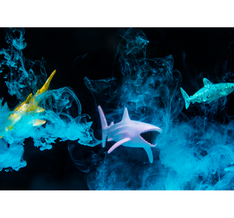 Colorful shark illustration fototapete z živalmi - TenStickers