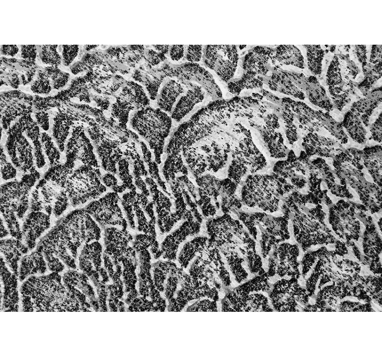 Organic texture pattern fototapete s teksturami - TenStickers