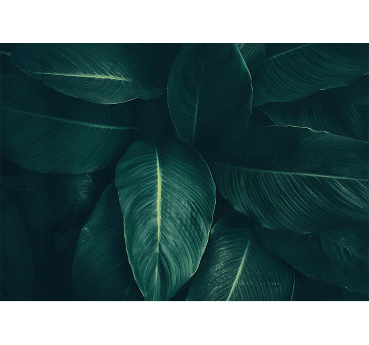 Lush leafy texture fototapete narava - TenStickers