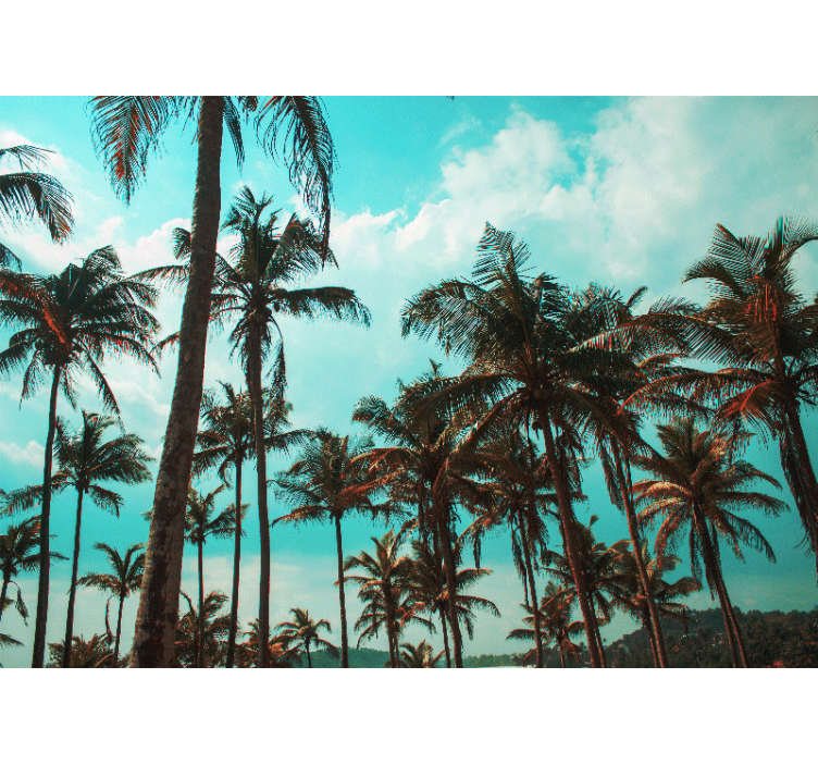 Palm trees paradise fototapete z naravo - TenStickers
