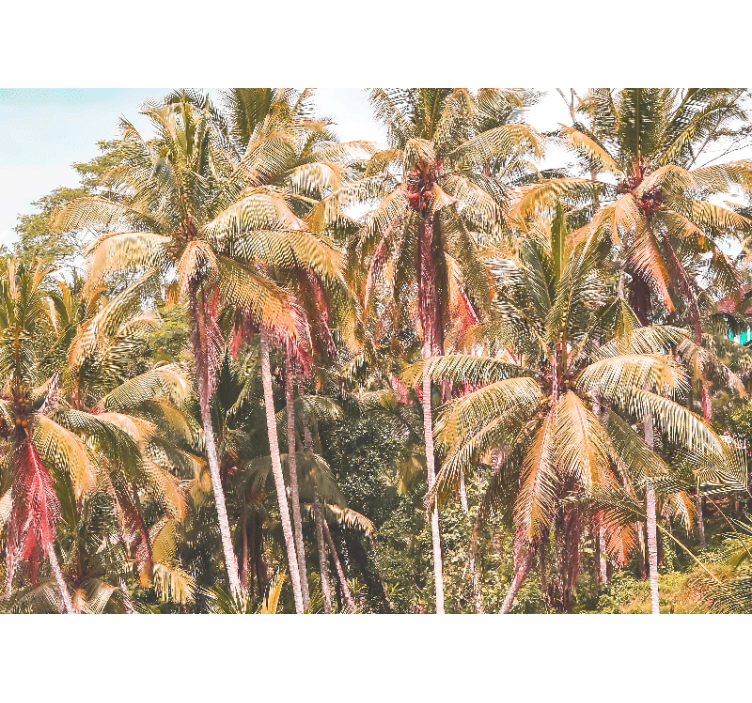 Lush palm forest fototapete narava - TenStickers