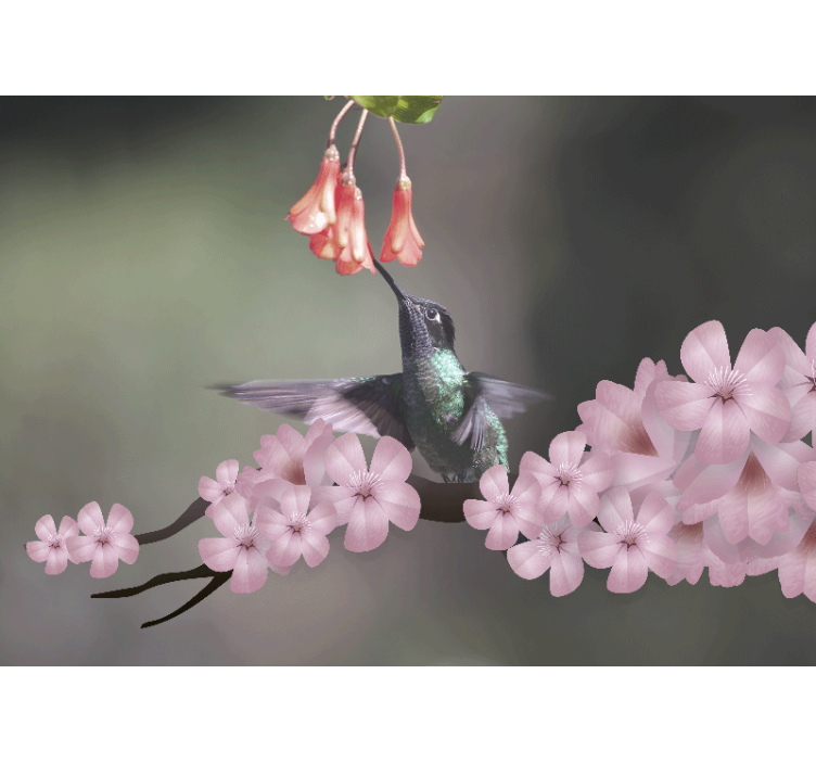 Hummingbird and blooms fototapete z živalmi - TenStickers