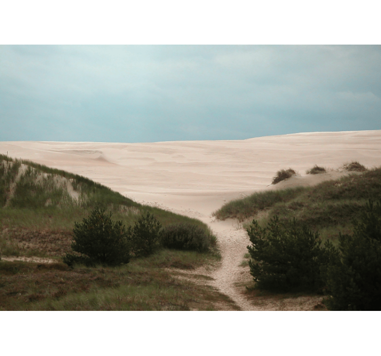 Sandy dune path stenske poslikave - TenStickers