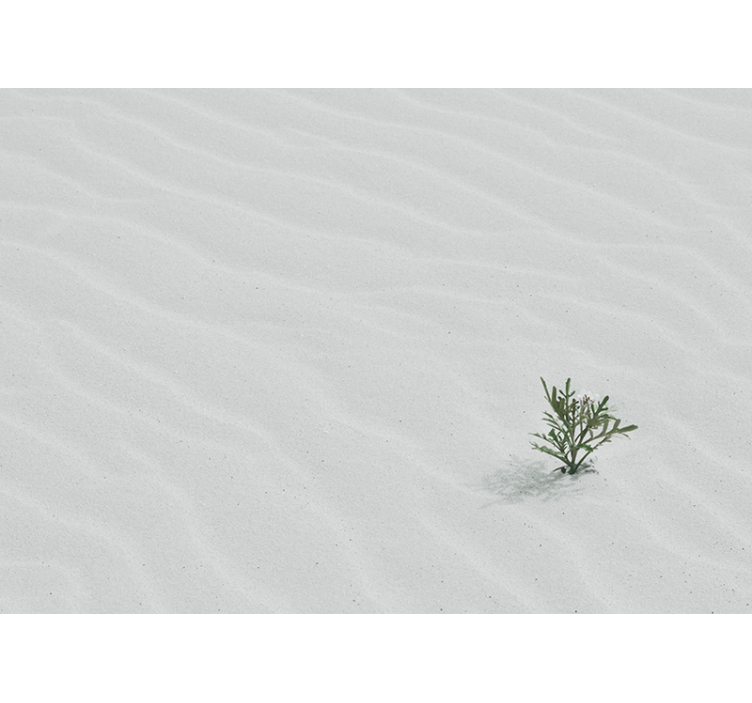 Sand and greenery fototapete narava - TenStickers