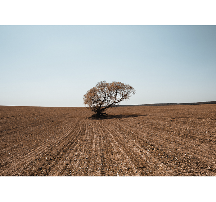 Lonely tree landscape fototapete narava - TenStickers