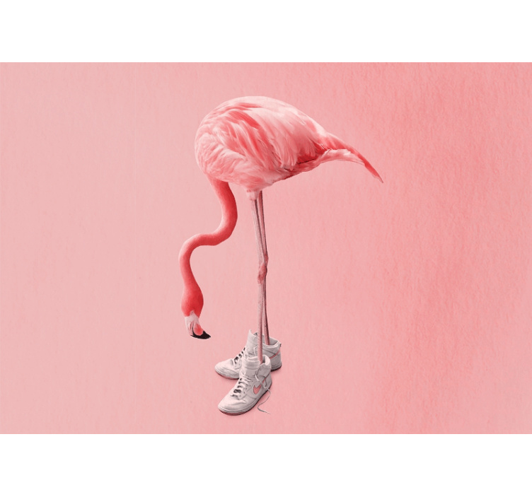 Fototapete z drugimi živalskimi motivi flamingo v supergah - TenStickers