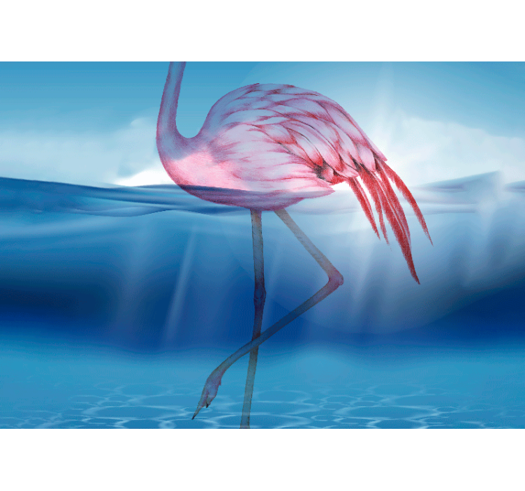 Elegant flamingo stance fototapete z živalmi - TenStickers