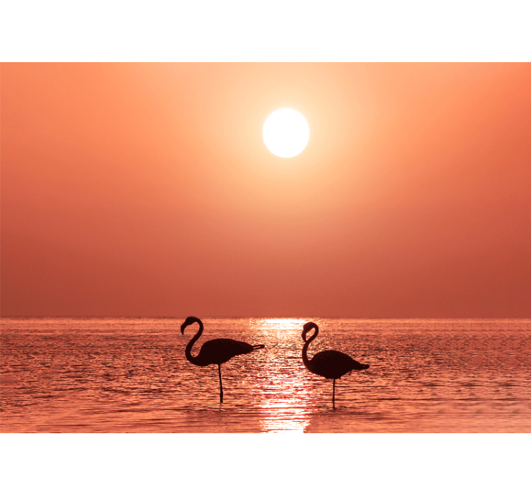 Flamingo sunset scene fototapete z živalmi - TenStickers