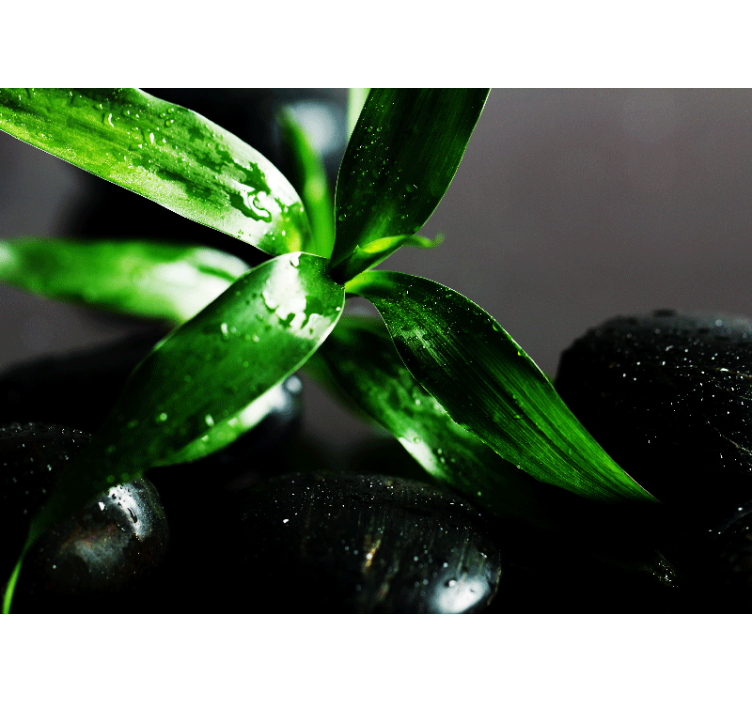 Zen črni kamni na vodni cvet stenske fototapete - TenStickers