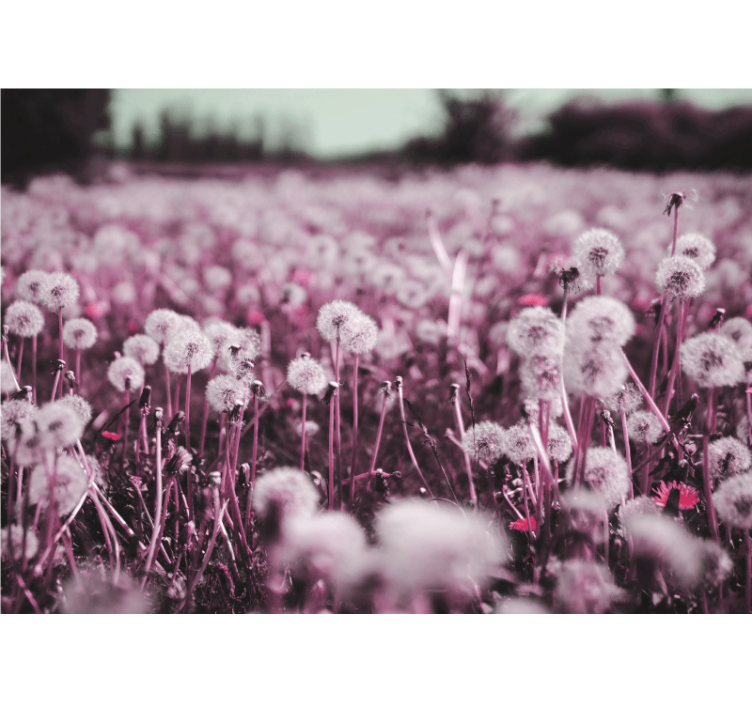 Prizor vijoličnega polja Fototapeta z maskami - TenStickers