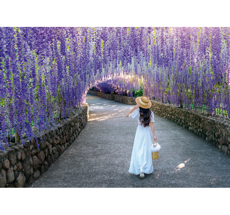 Wisteria blossom path fototapete cvetje - TenStickers