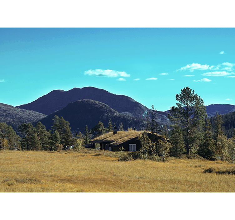 Mountain cabin retreat stenske poslikave - TenStickers