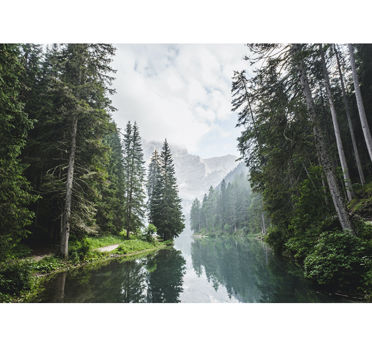 Tranquil forest echo stenske poslikave - TenStickers