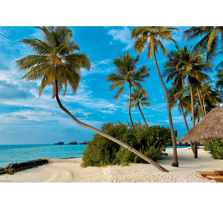 Tropical palm landscape fototapete narava - TenStickers