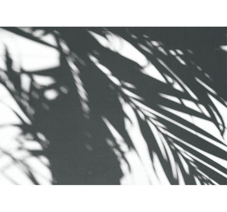 Shadowy palm patterns fototapete narava - TenStickers