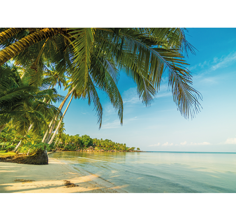 Tranquil beach scene fototapete narava - TenStickers