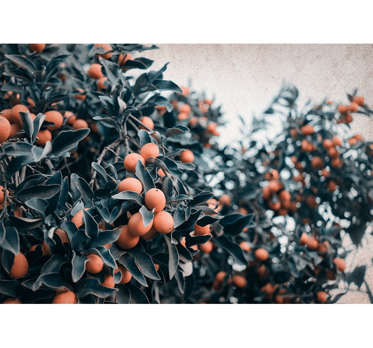 Oranžni sadeži na steni v dnevni sobi - TenStickers