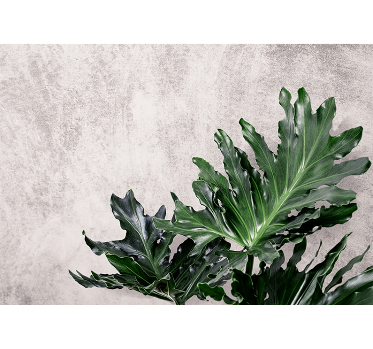Lush leafy greens fototapete narava - TenStickers