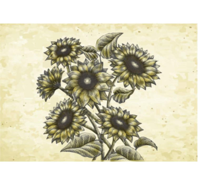 Sunflower floral composition fototapete cvetje - TenStickers