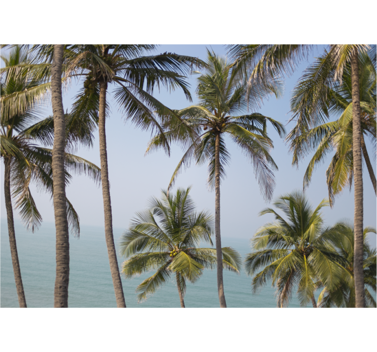 Palm trees landscape fototapete narava - TenStickers