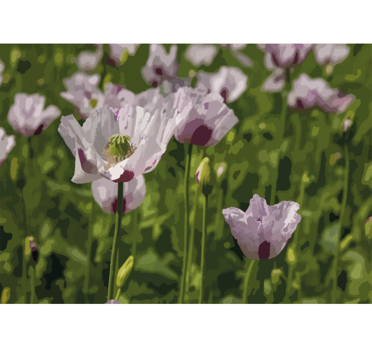 Floral elegance fototapeta z makovimi cvetovi - TenStickers